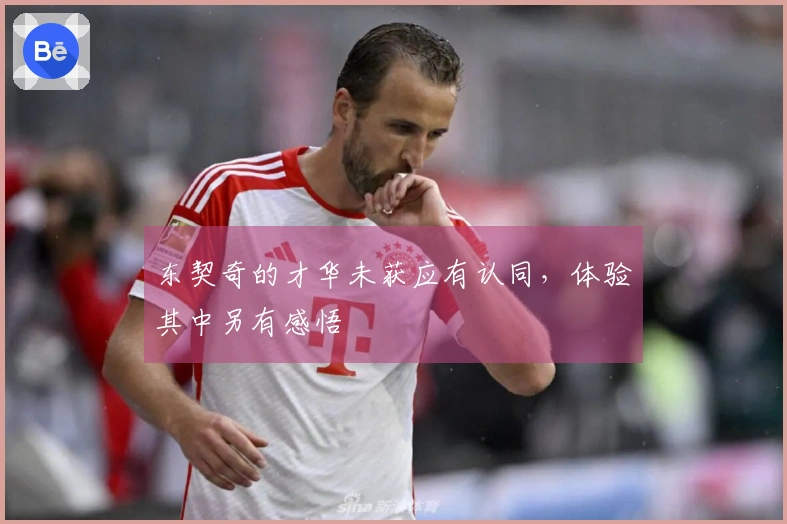 东契奇的才华未获应有认同，体验其中另有感悟